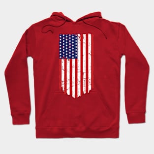 United States Flag Vertical with the USA Text in the middle Hoodie